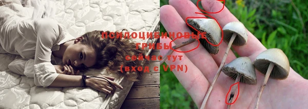 mdpv Красноперекопск